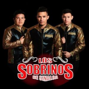 Los Sobrinos de Sinaloa