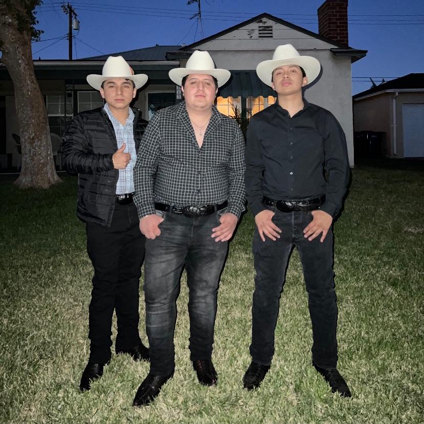 Los Plebes de California